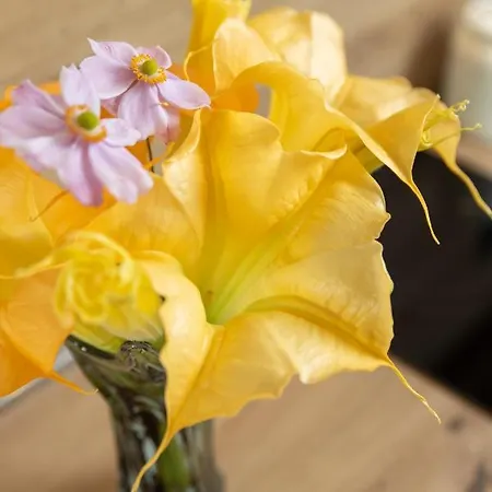 Altamar Seaview Апартаменти *