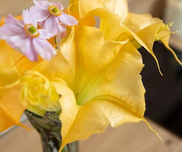 Altamar Seaview Apartamento *