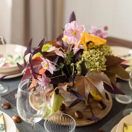 Altamar Seaview 公寓 奥帕提亚